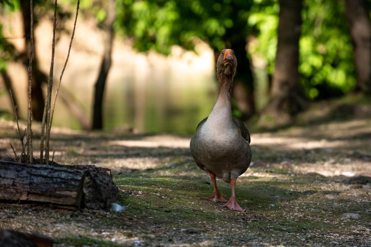 Hotel Kostelski Buk Bihać Kültér fotó